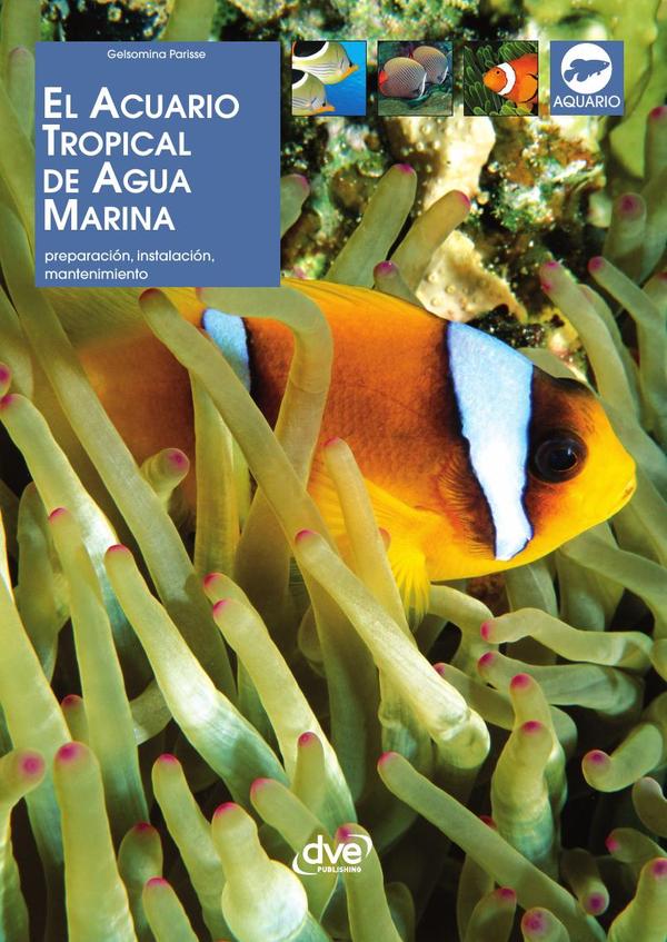 El acuario tropical de agua
marina