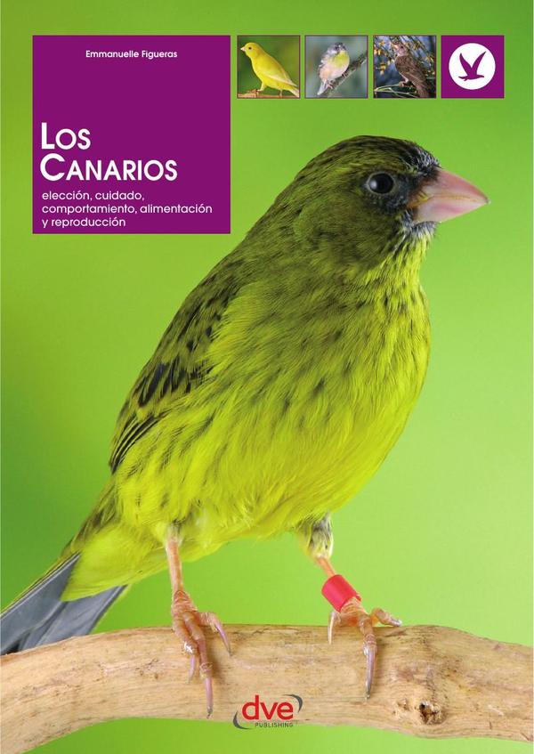 Los canarios