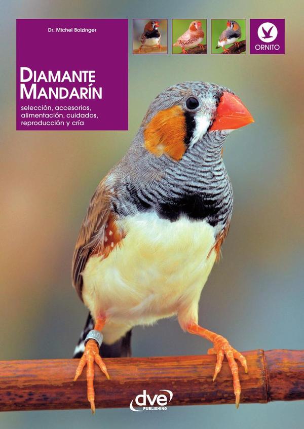 Diamante mandarín