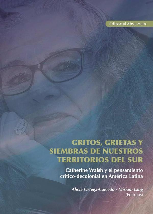 Gritos, grietas y siembras de nuestros territorios del Sur