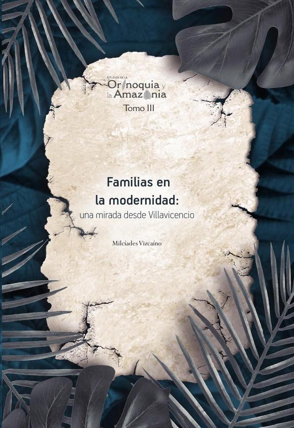 Familias en la modernidad: una mirada desde Villavicencio - Orinoquia Tomo 3