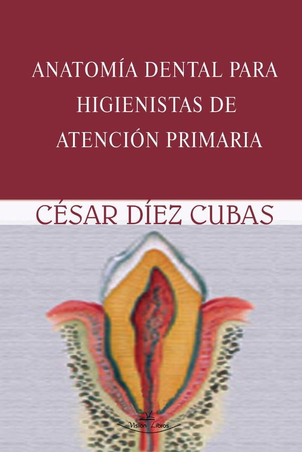 Anatomía dental para higienistas de atención primaria
