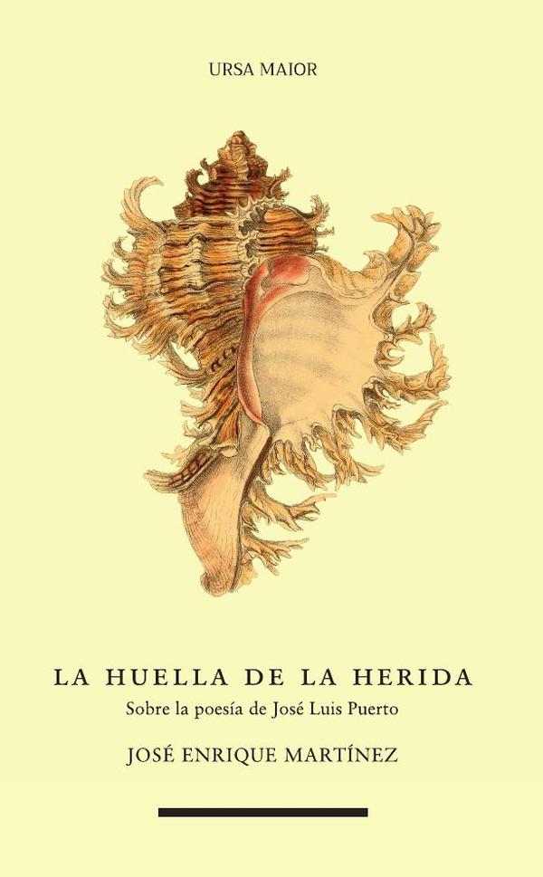 La huella de la herida