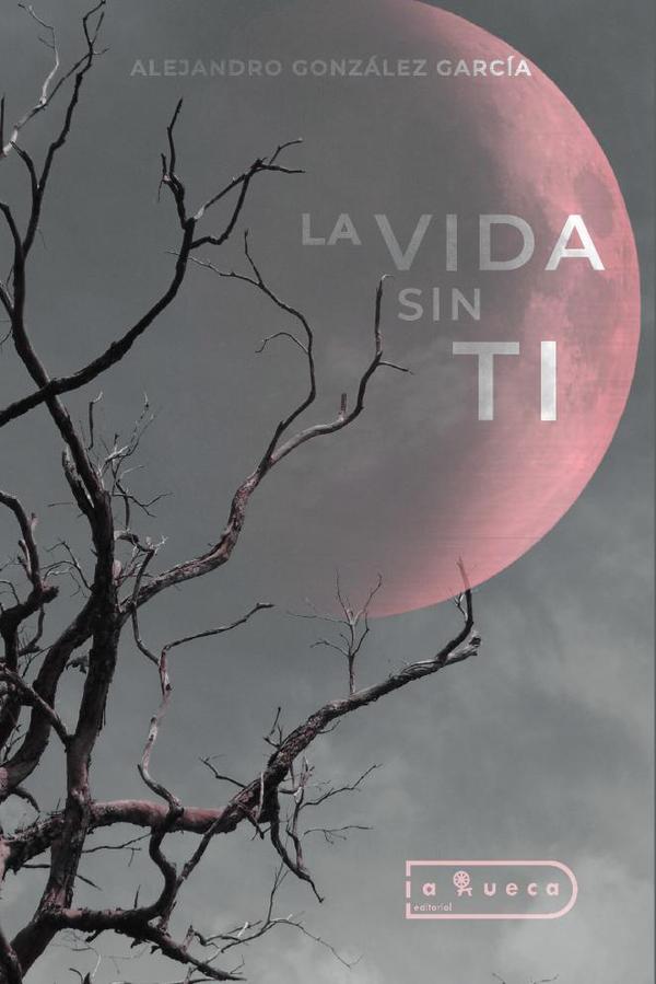 La vida sin ti