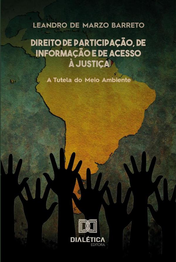 Direito de participação, de informação e de acesso à justiça