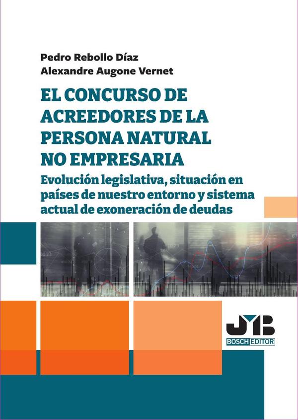 El concurso de acreedores de la persona natural no empresaria.