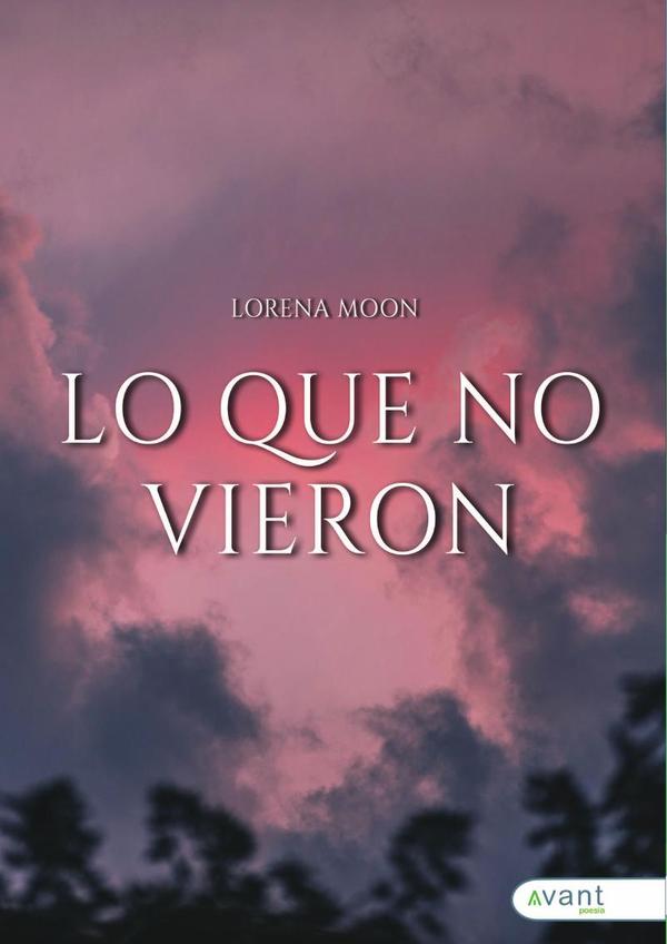 Lo que no vieron