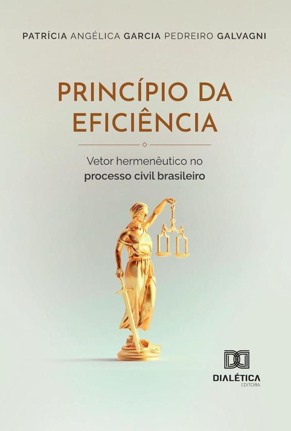 Princípio Da Eficiência