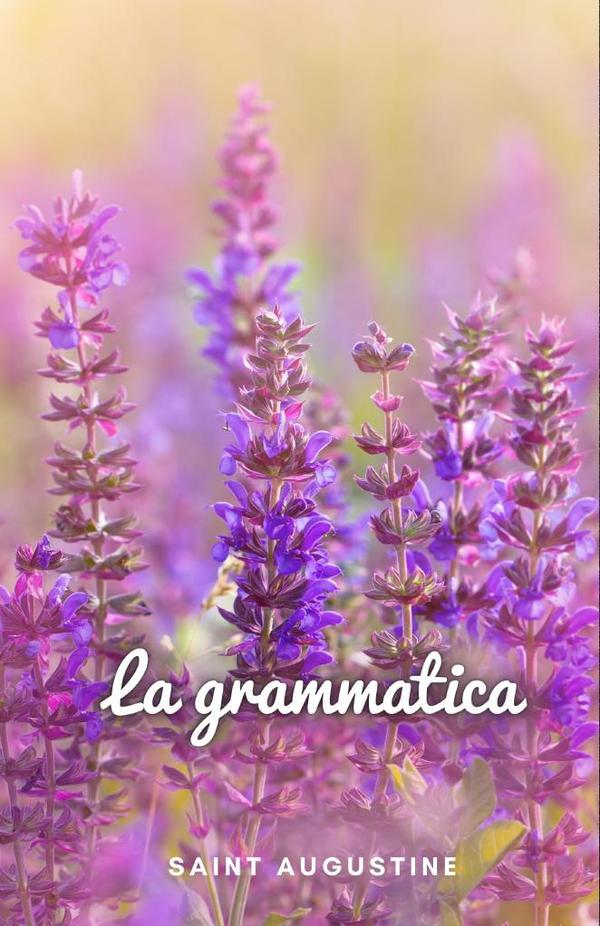 La grammatica