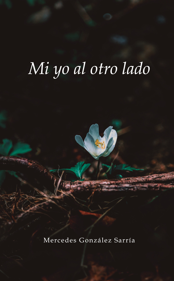 Mi yo al otro lado