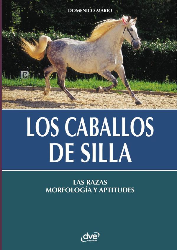 Los caballos de silla