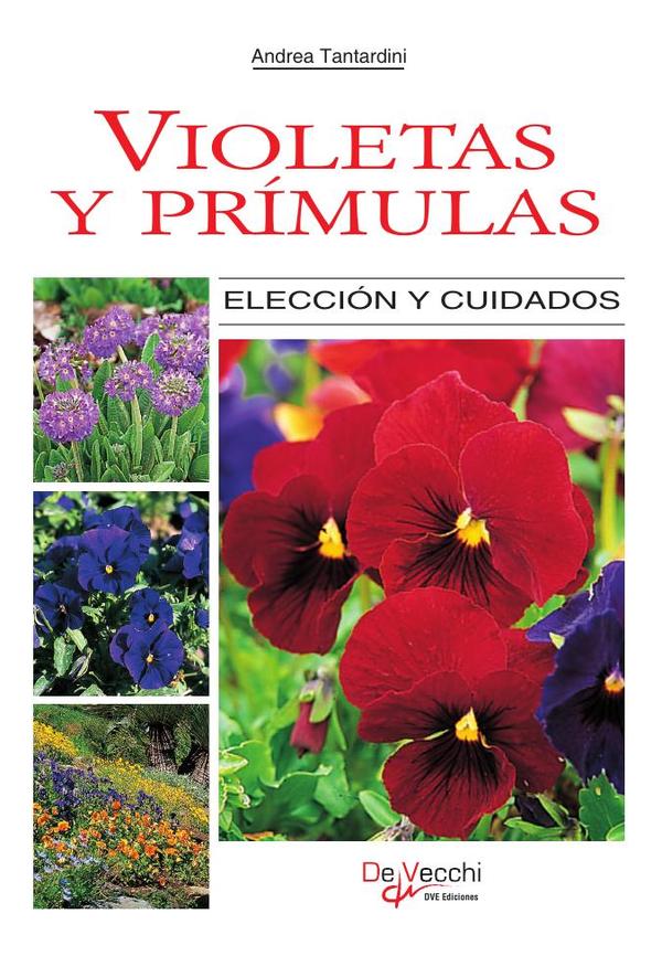 Violetas y prímulas