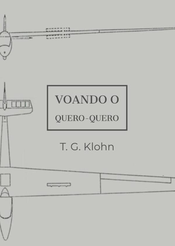 Voando O Quero-quero