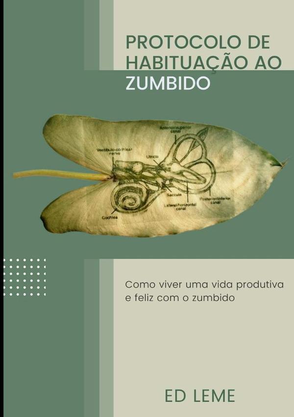 Protocolo De Habituação Ao Zumbido