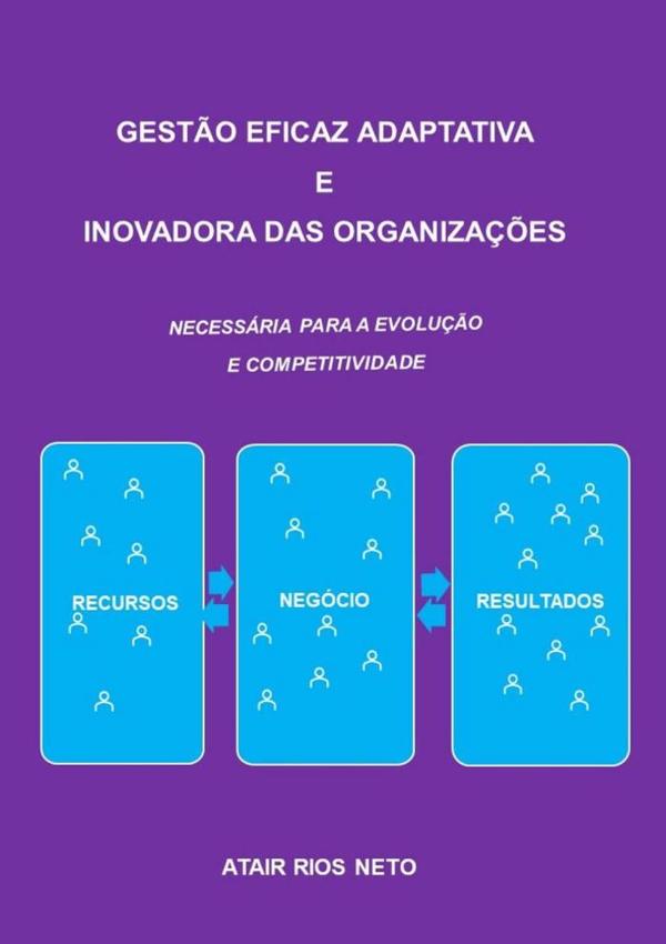 Gestão Eficaz Adaptativa  E Inovadora Das Organizações