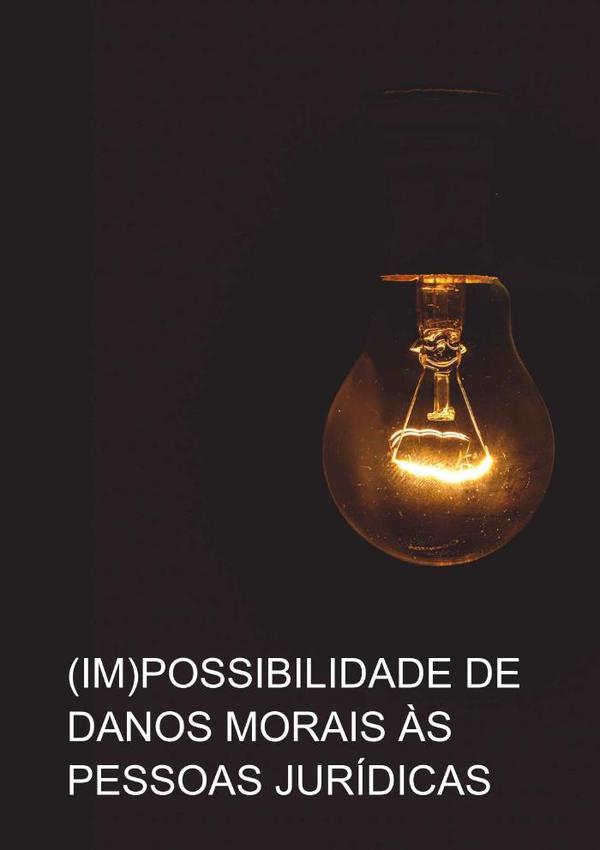 (im)possibilidade De Danos Morais Para Pessoa Jurídica