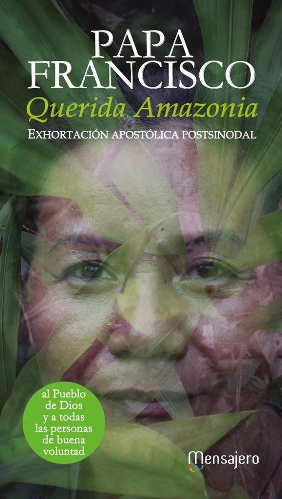 Querida Amazonia