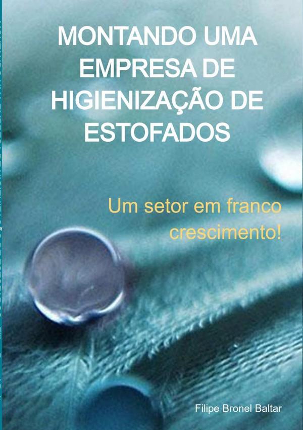 Montando Uma Empresa De Higienização De Estofados