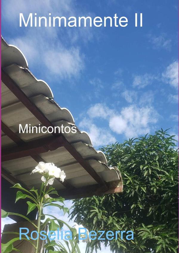 Minimamente Ii