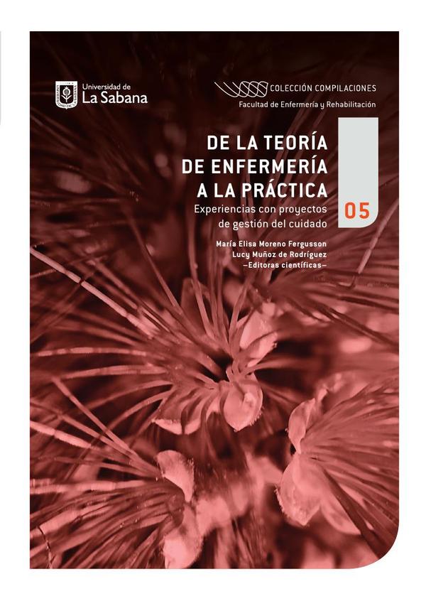 De la teoría de enfermería a la práctica