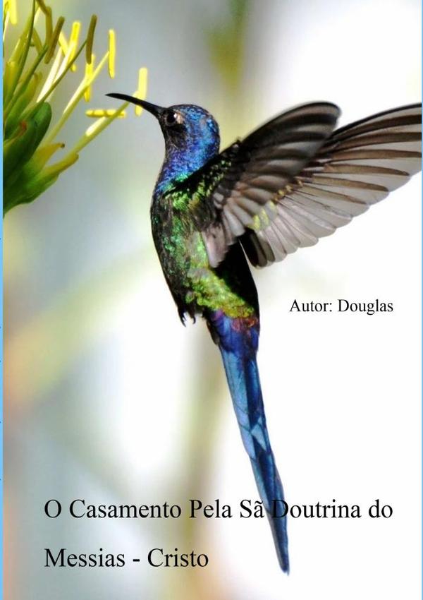 O Casamento Pela Sã Doutrina Do Messias - Cristo