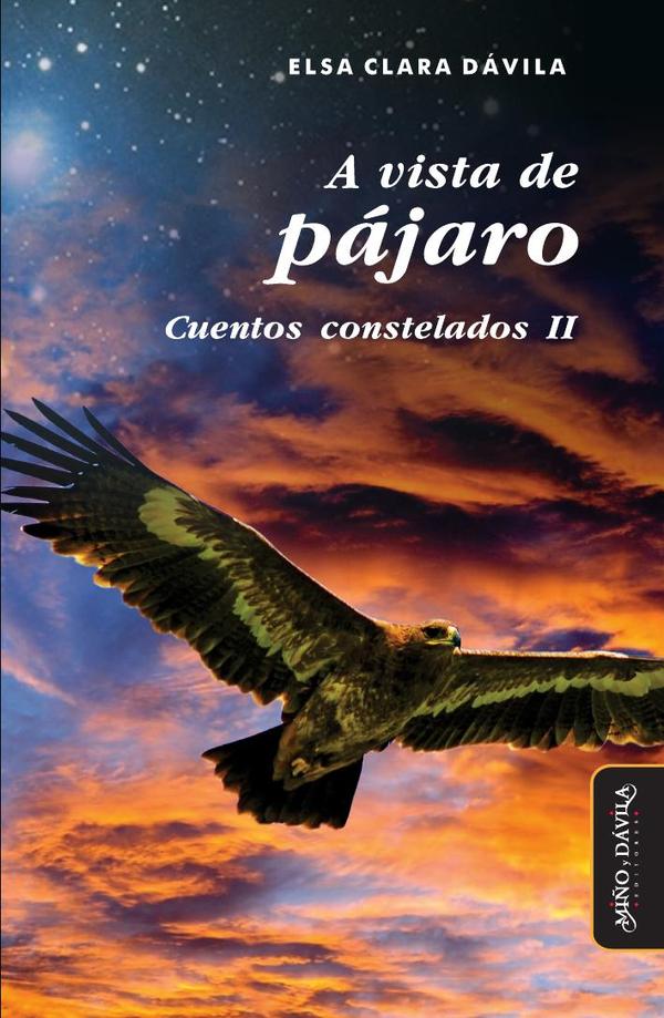 A vista de pájaro