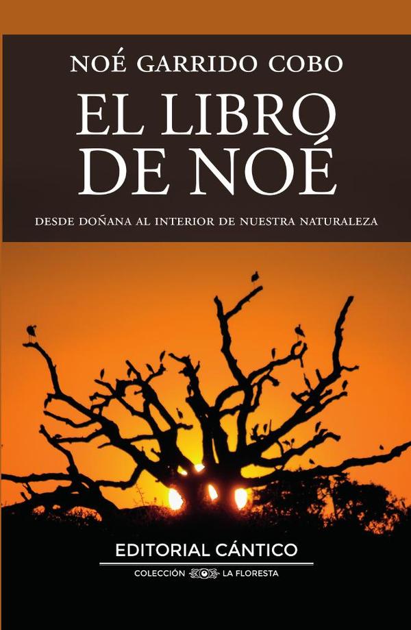 El libro de Noé