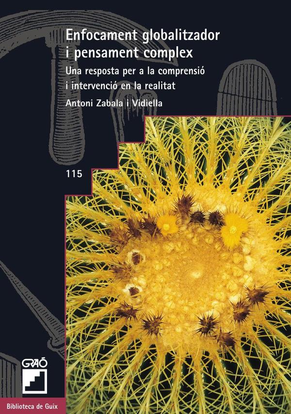 Enfocament globalitzador i pensament complex