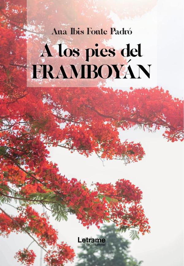 A los pies del framboyán