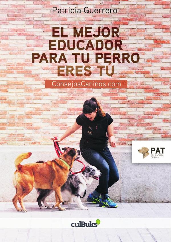 El mejor educador de tu perro eres tú