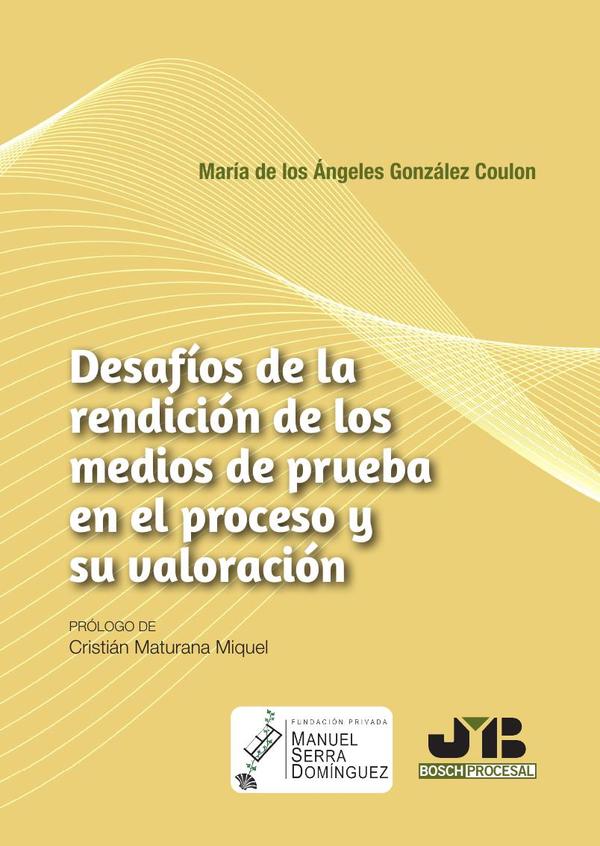 Desafíos de la rendición de los medios de prueba en el proceso y su valoración