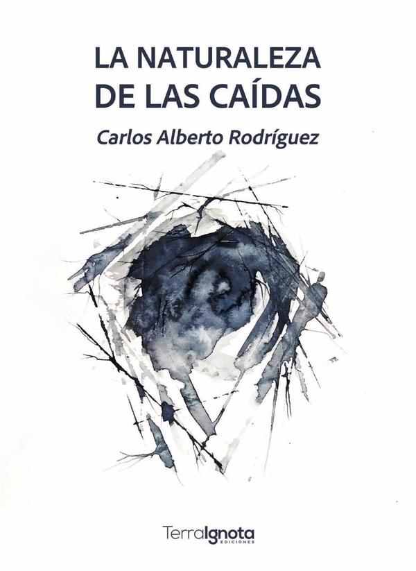 La naturaleza de las caídas