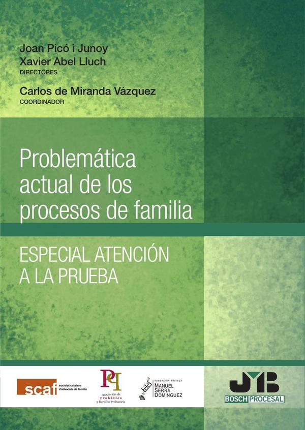 Problemática actual de los procesos de familia.