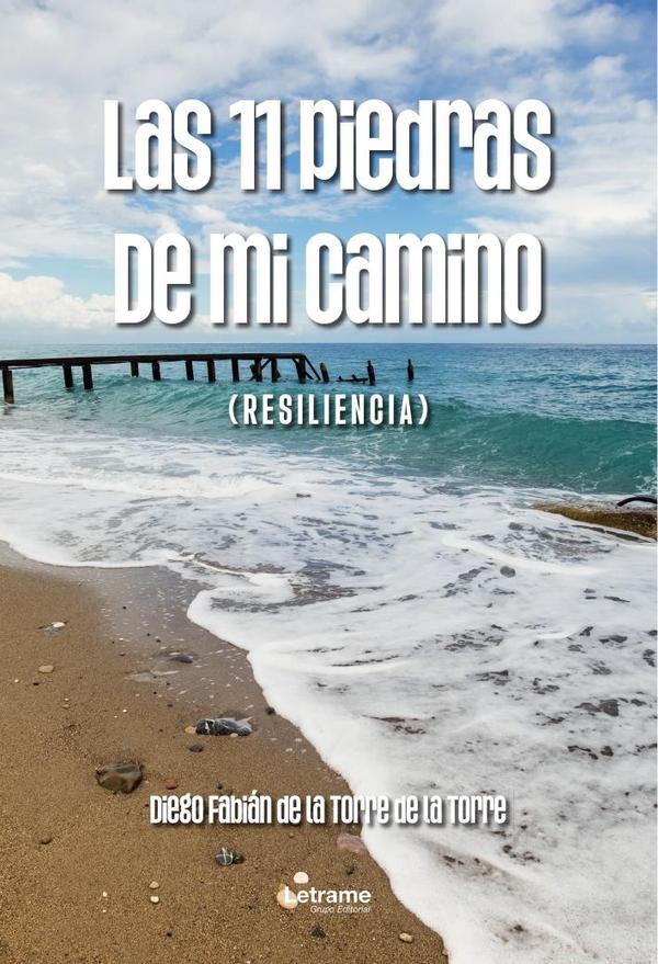 Las 11 piedras de mi camino