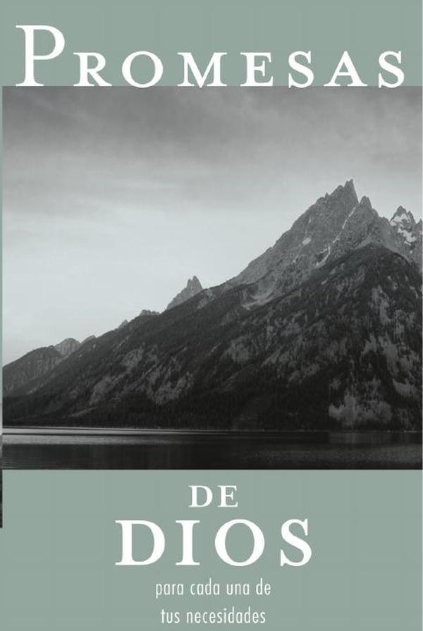 Promesas de Dios para cada una de tus necesidades