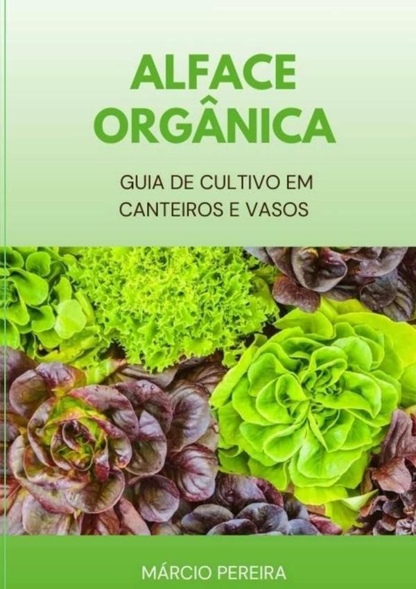 Alface Orgânica
