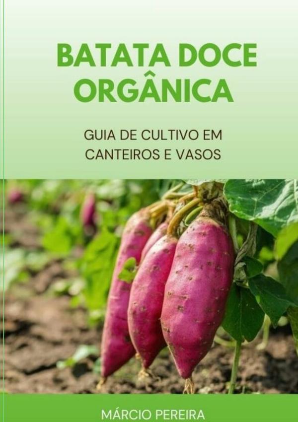 Batata-doce Orgânica
