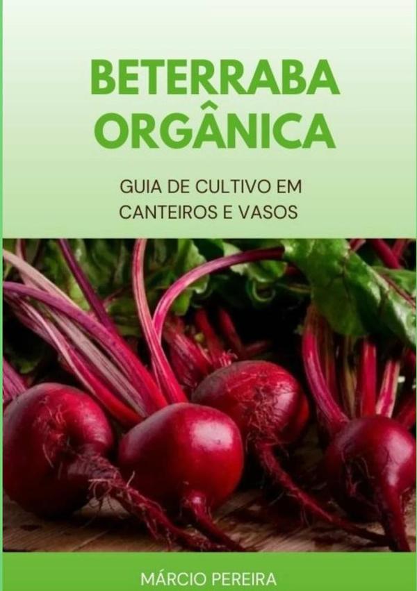 Beterraba Orgânica