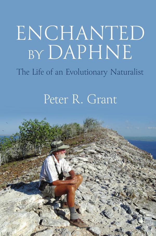 Enchanted by Daphne