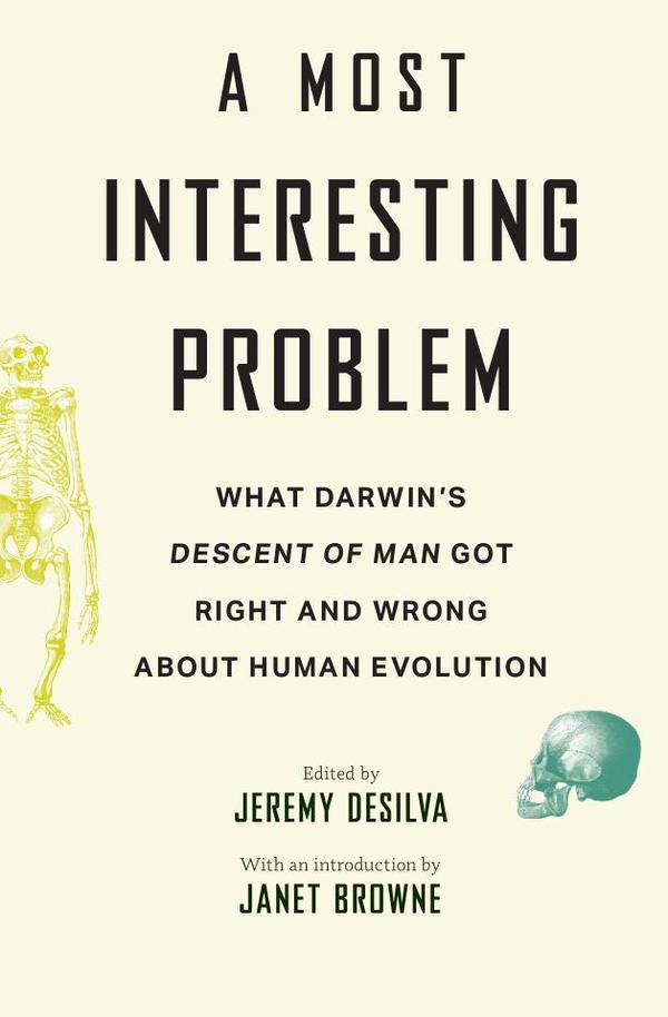 A Most Interesting Problem