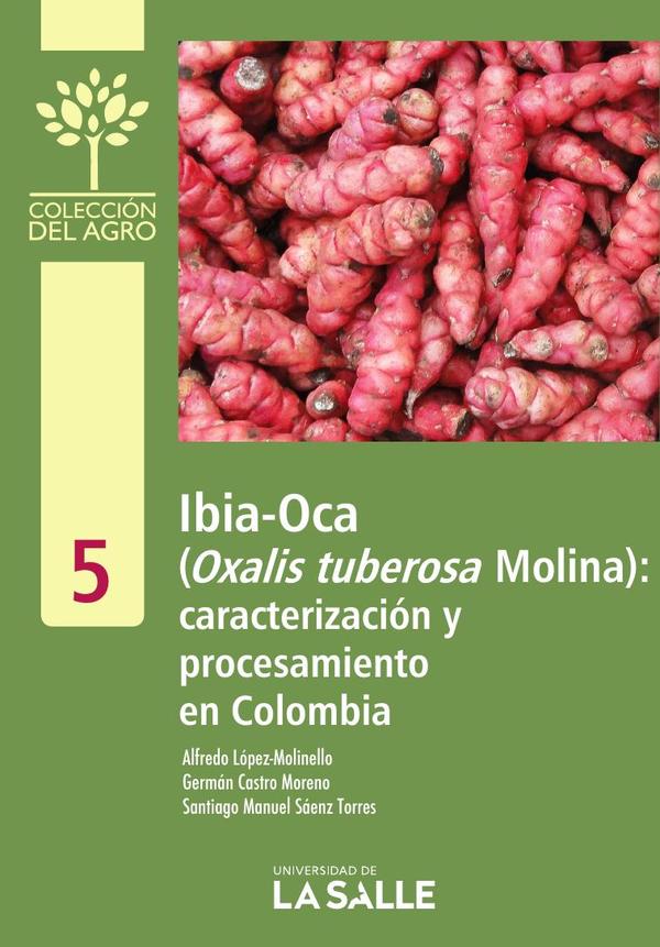 Ibia-Oca (Oxalis tuberosa Molina)