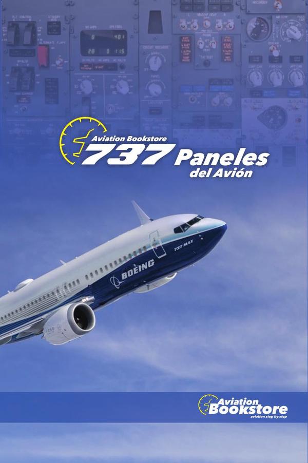 Paneles de Boeing 737