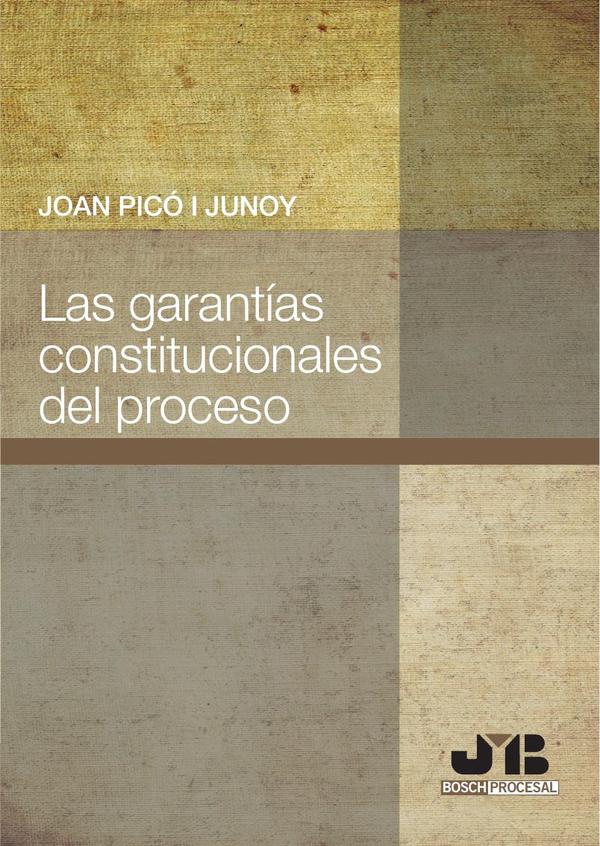 Las garantías constitucionales del proceso.