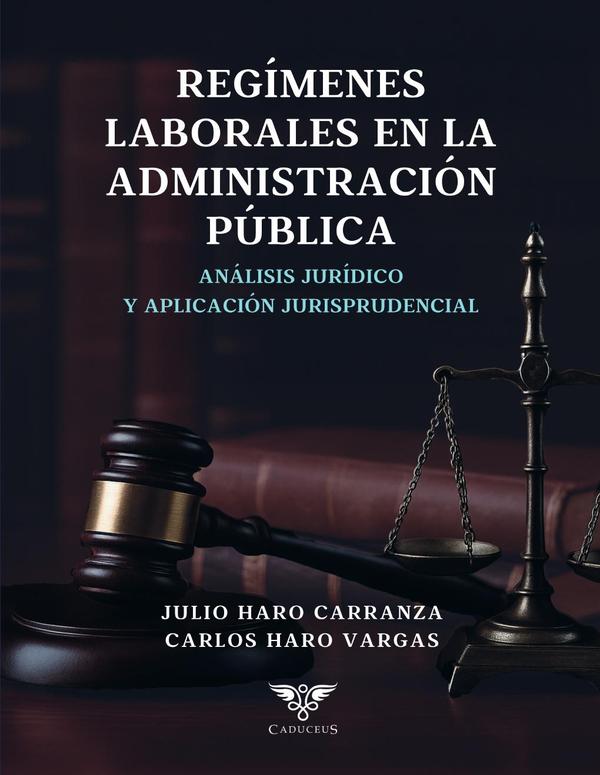 Los regímenes laborales en la administración pública