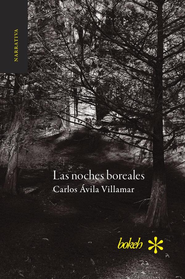 Las noches boreales