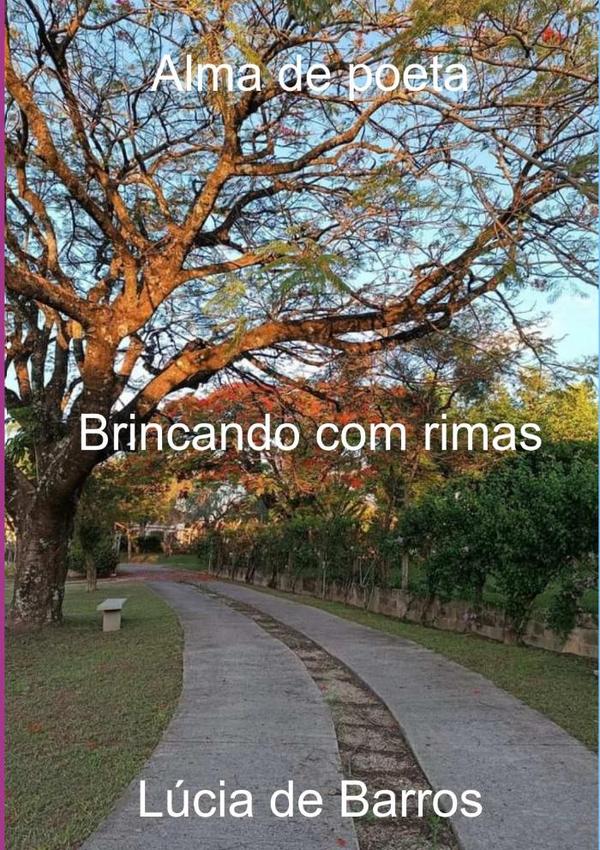 Alma De Poeta