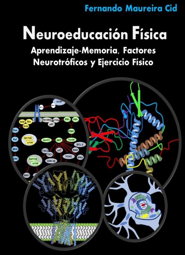 Neuroeducación Física. Aprendizaje-Memoria, Factores Neurotróficos y  Ejercicio Físico