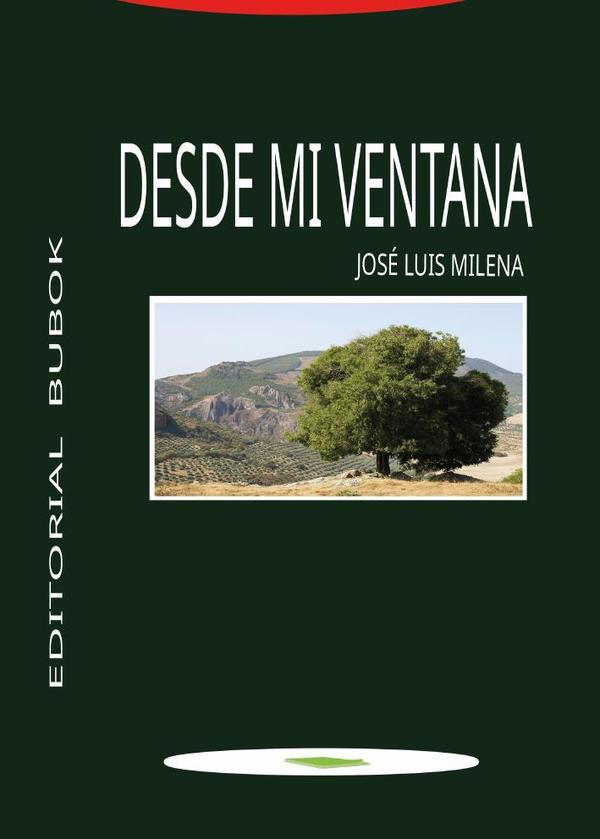 Desde mi ventana