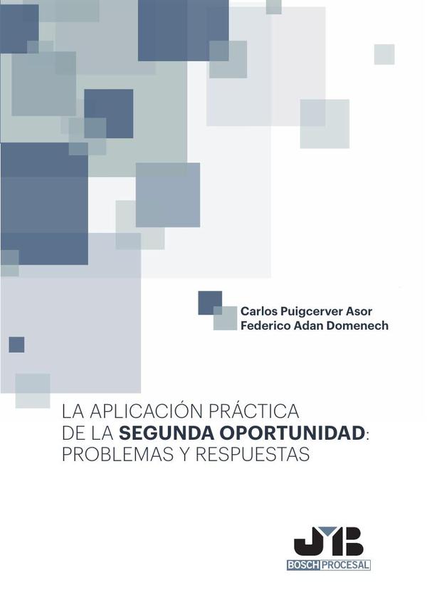 La aplicación práctica de la segunda oportunidad: problemas y respuestas.