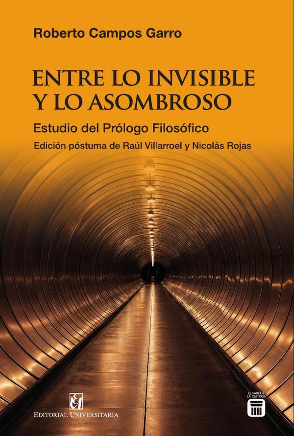 Entre lo invisible y lo asombroso